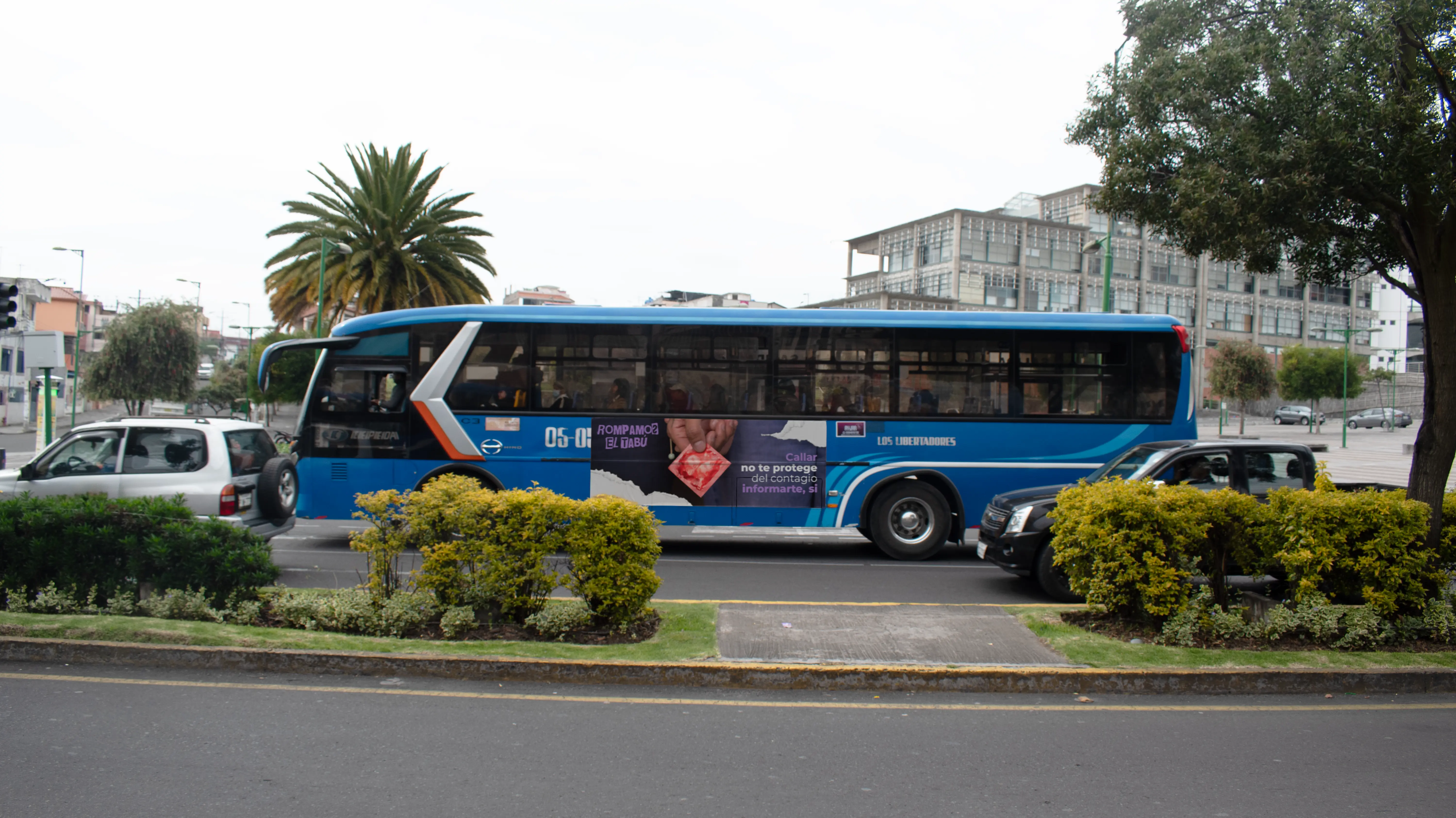Bus - Los Libertadores