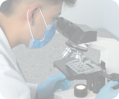 Imagen informativa 2